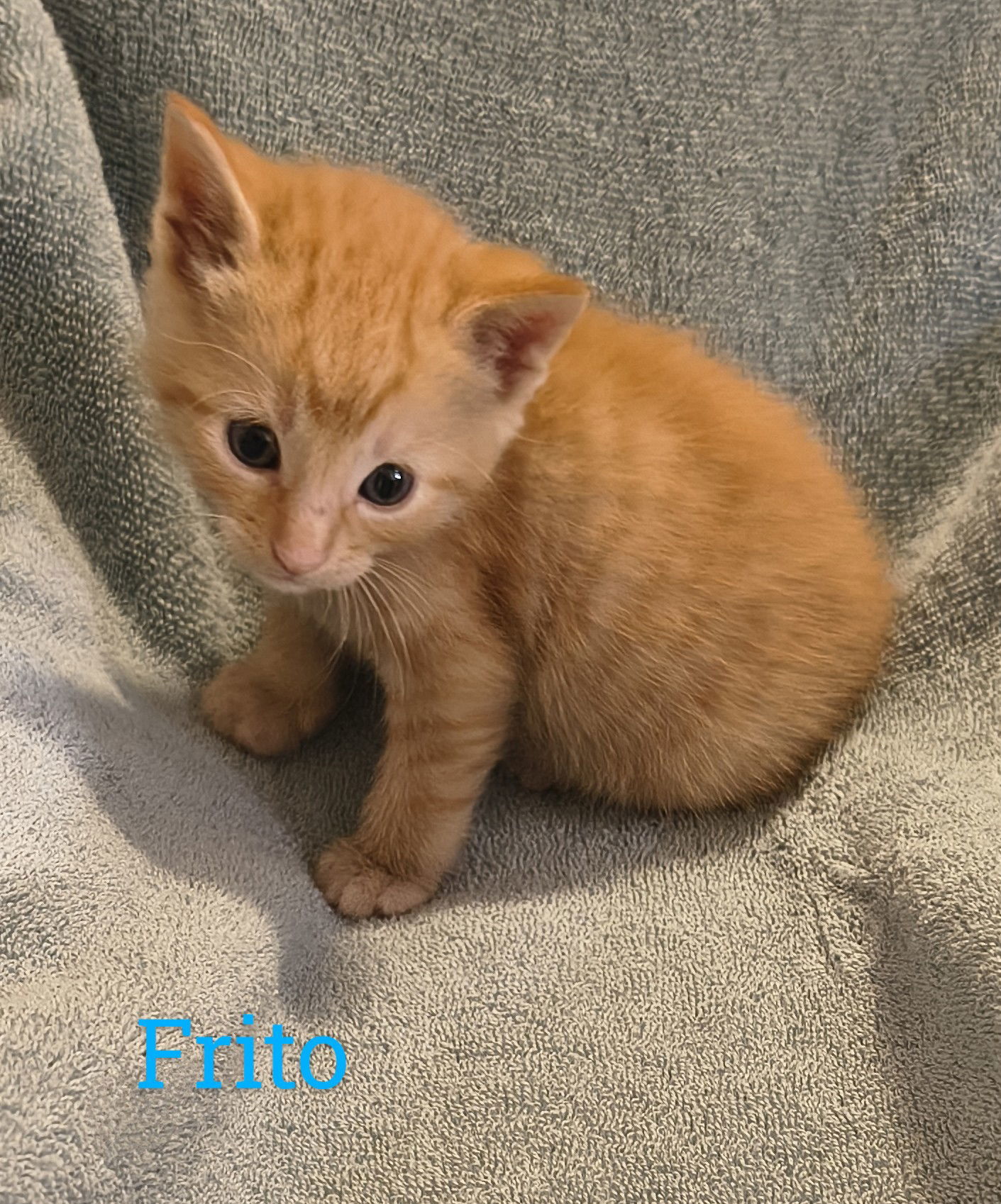 Frito