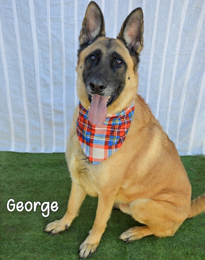 George