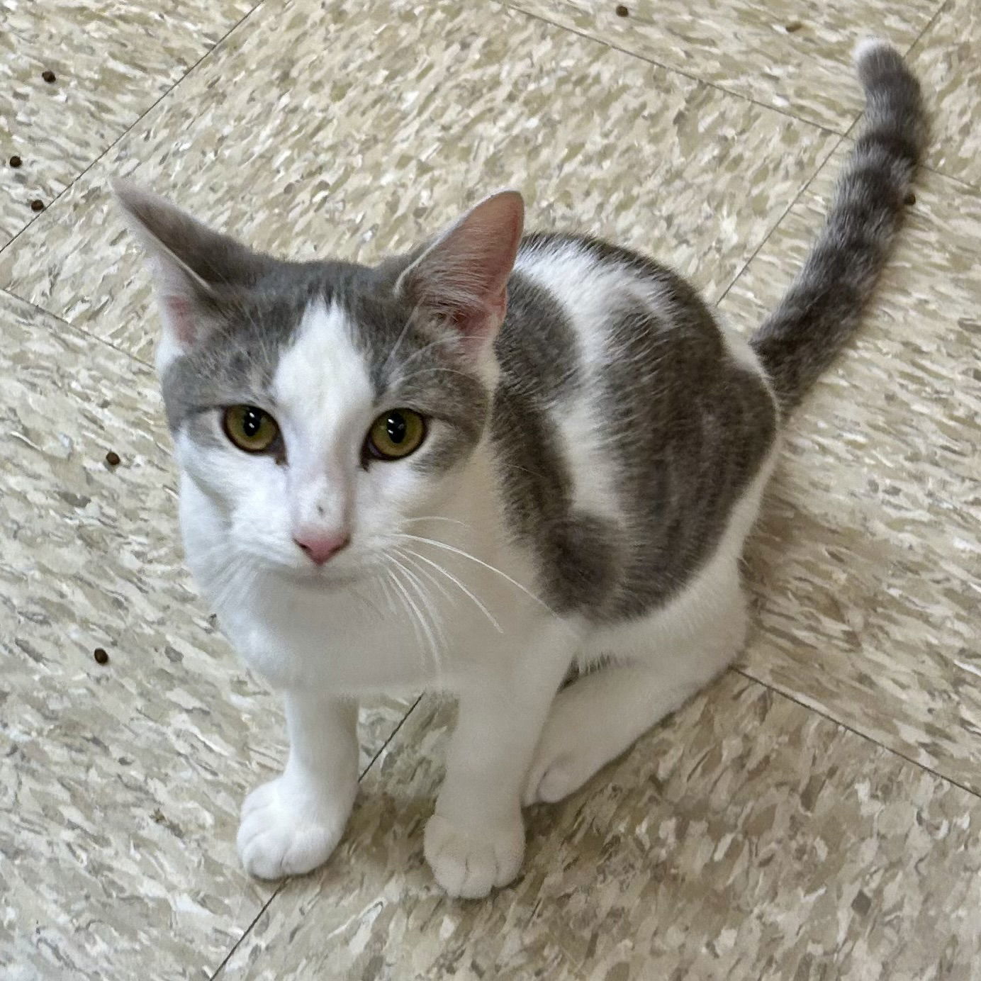 Barrel - Nightmare Before Christmas