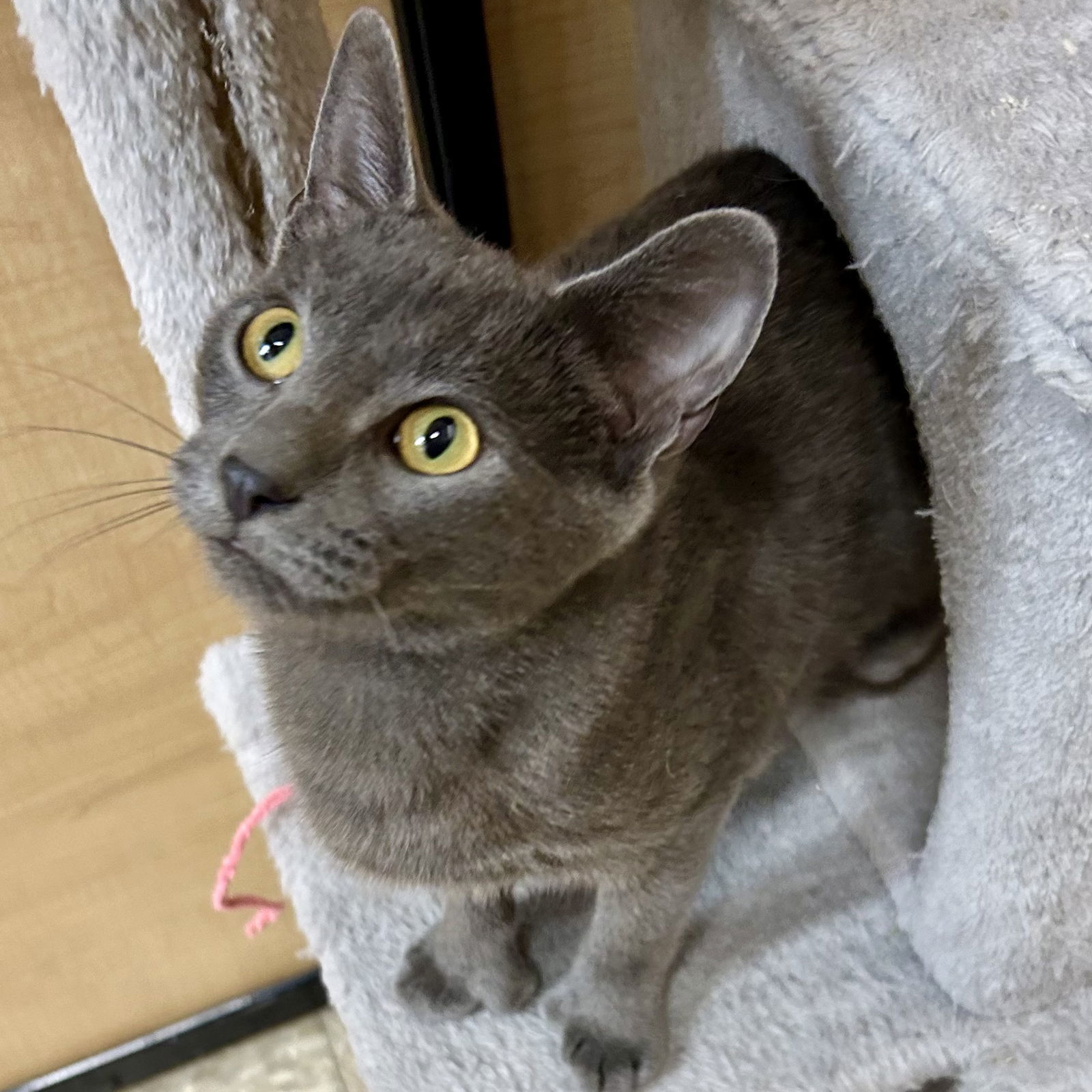 Lock - Nightmare Before Christmas