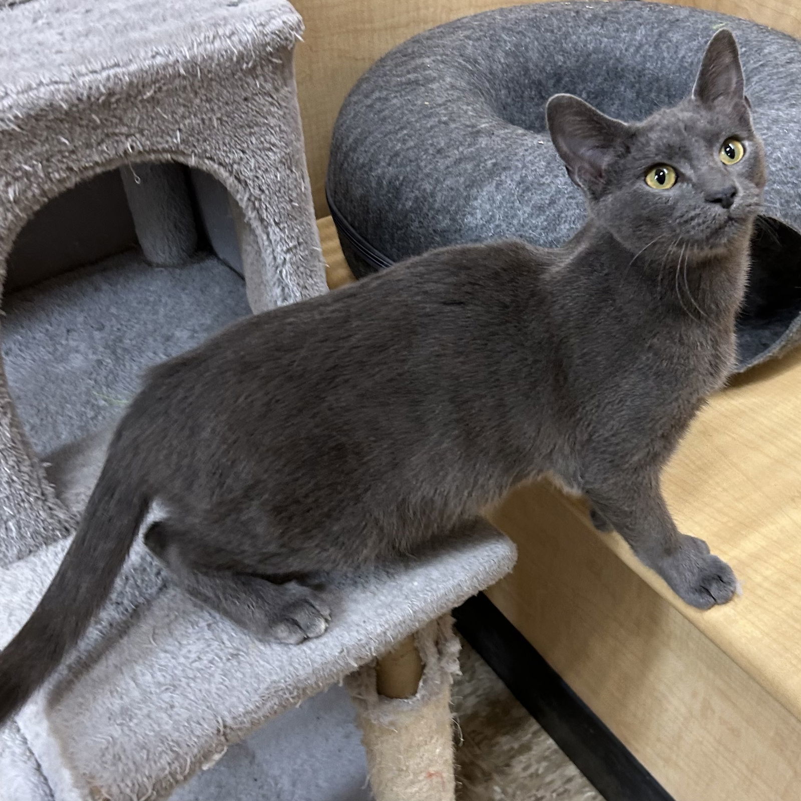 Lock - Nightmare Before Christmas