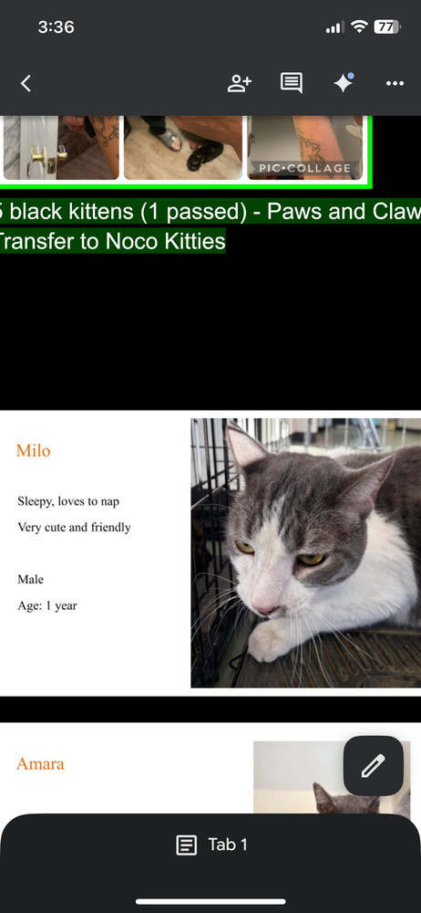 Milo