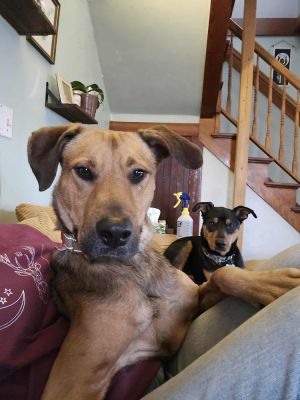 Guidry #BAC-A-139644