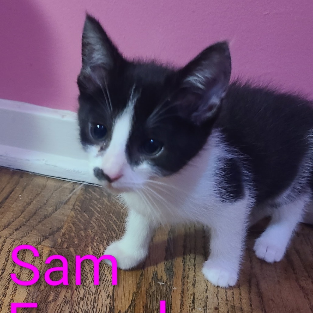 Sam