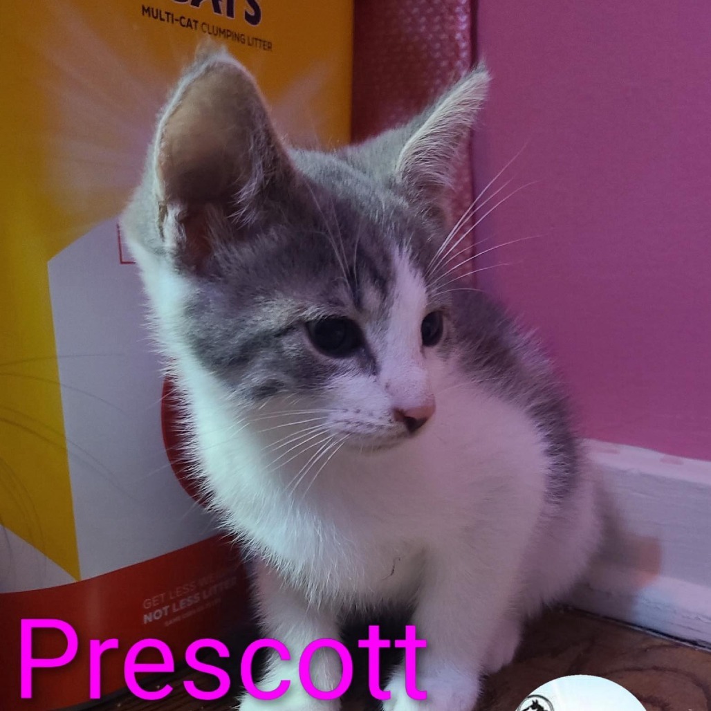 Prescott