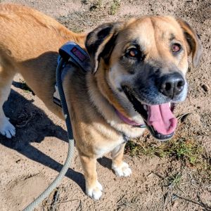 Yoti - Handsome Boy!