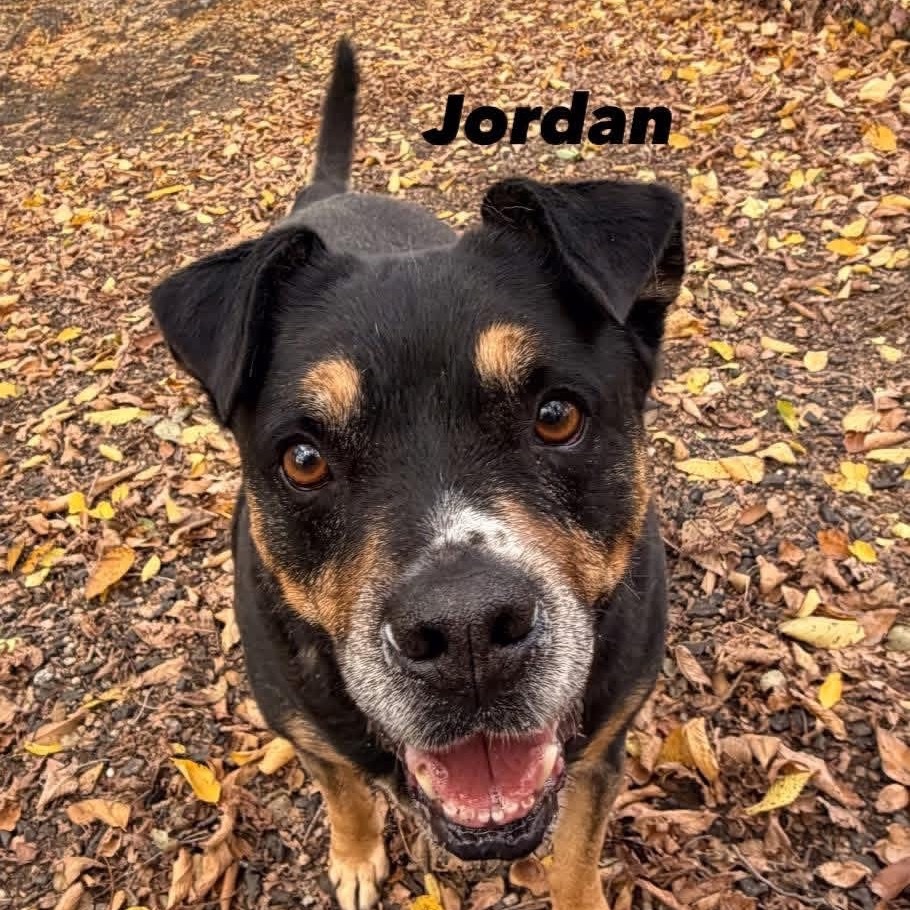 Jordan