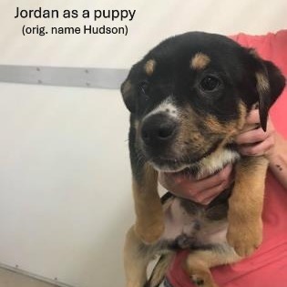 Jordan