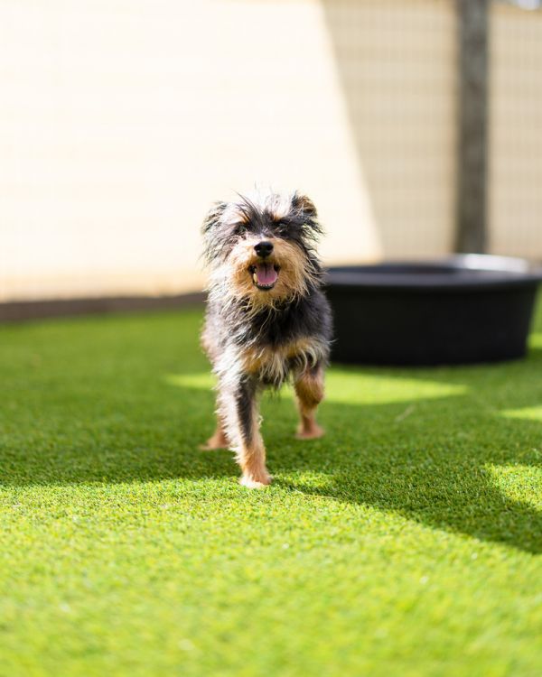 Kerfuffle thumbnail 3