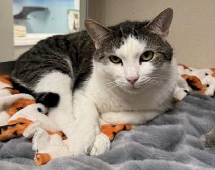 Wyatt & Mason - Bonded Pair