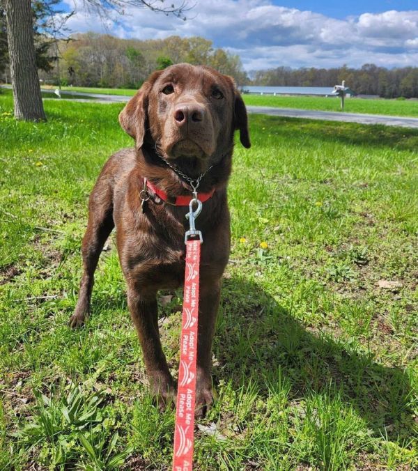 Truffles thumbnail 2