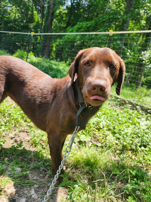 Truffles thumbnail 3