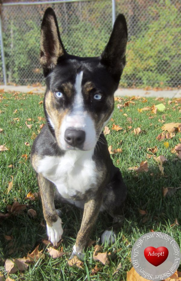 Imagin Yrly thumbnail 2