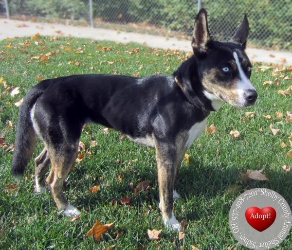 Imagin Yrly thumbnail 3