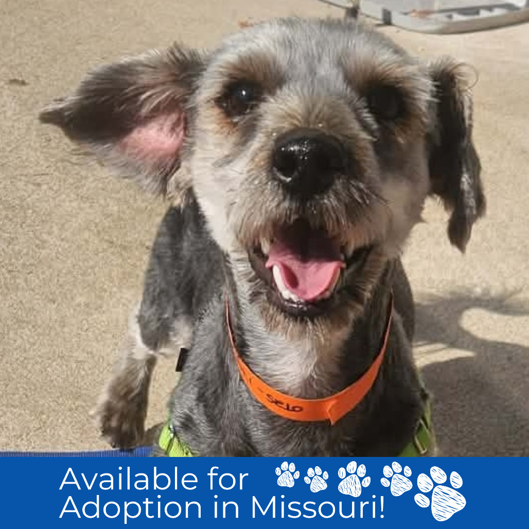 JR - Missouri (OT25-176