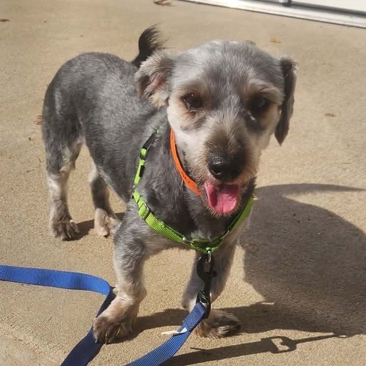 JR - Missouri (OT25-176