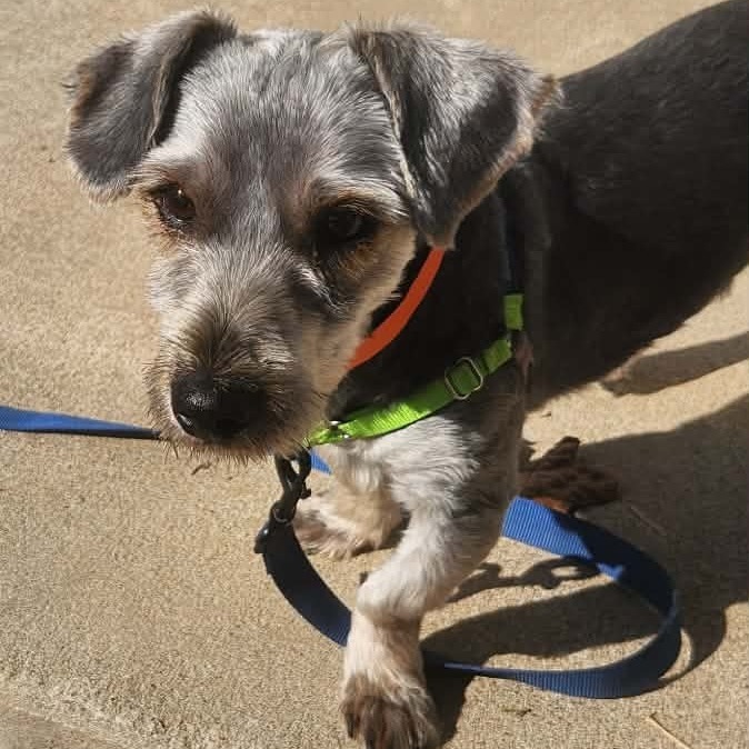 JR - Missouri (OT25-176