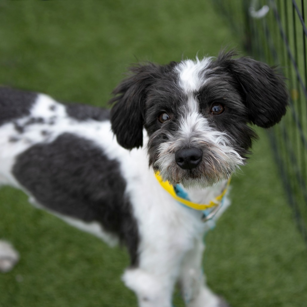 Mama Ritz (JN25-475)