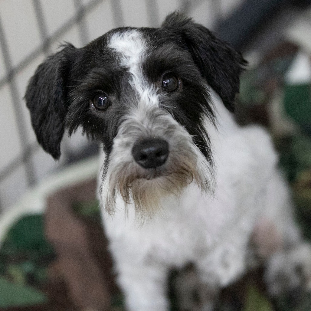 Mama Ritz (JN25-475)