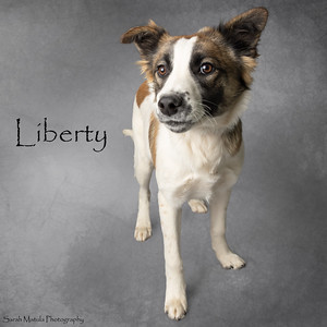Liberty