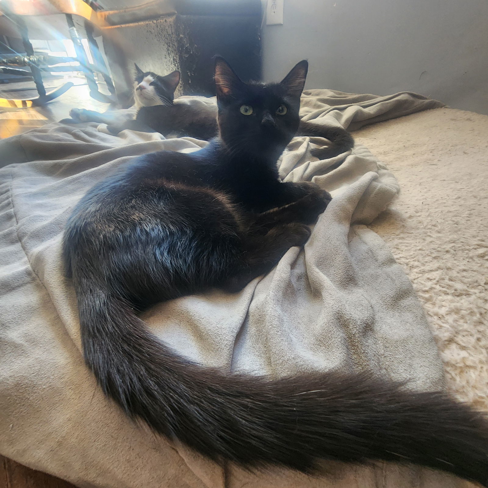 Pearl, Willow Grove Area, (FCID 10/24/2025-104)