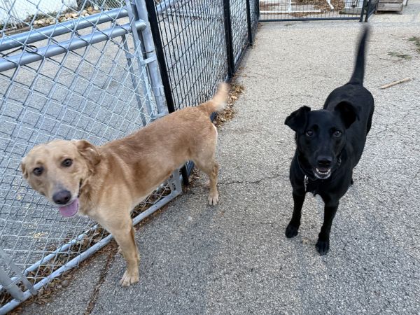 Beckett &amp; Berkley