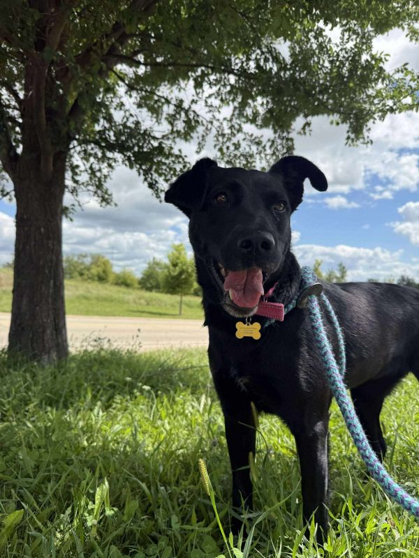 Beckett &amp; Berkley thumbnail 3