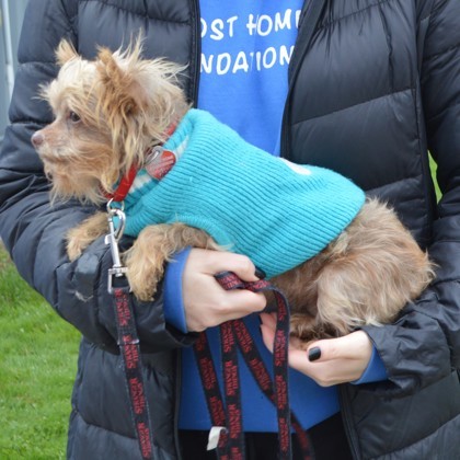 Bitsy+(bonded with Benny)