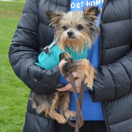 Benny+(bonded with Bitsy)