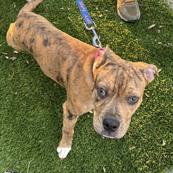 Savannah thumbnail 2