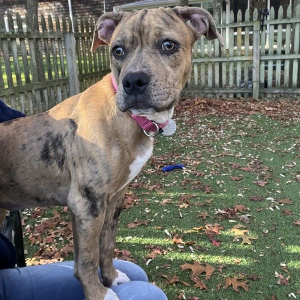 Savannah thumbnail 5