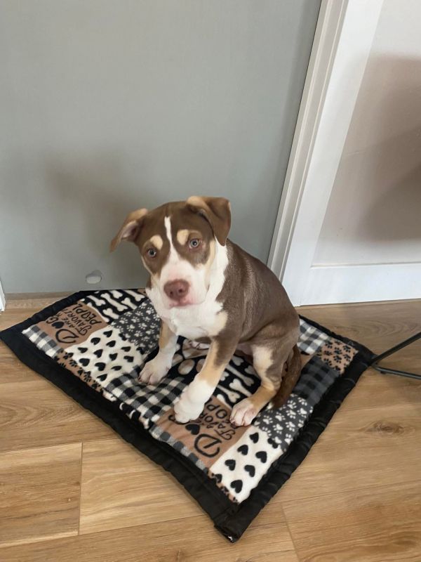 Montana Libby thumbnail 2