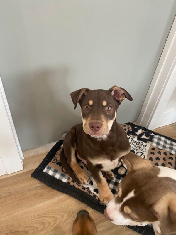 Montana Miles thumbnail 2