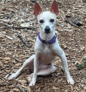 Stanley *Arriving 11/21*