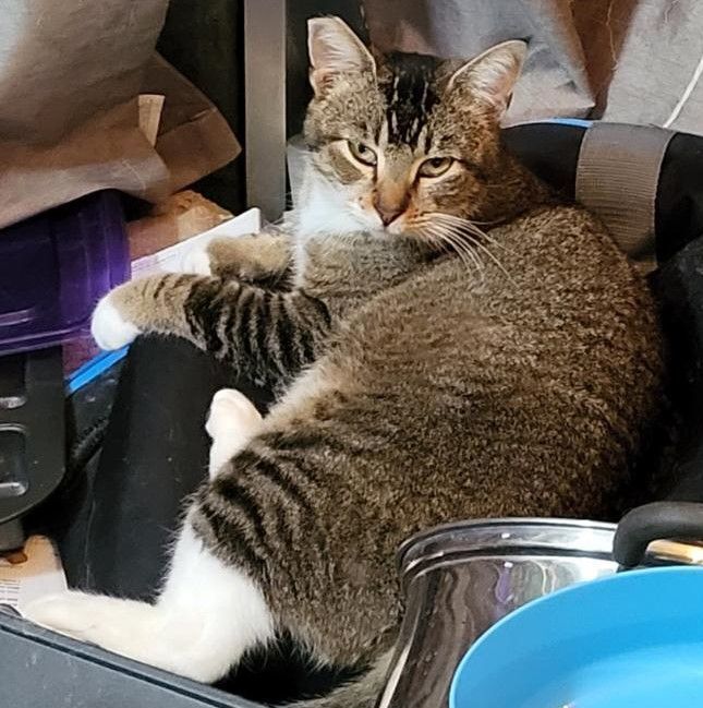 Rapunzel & Goldilocks