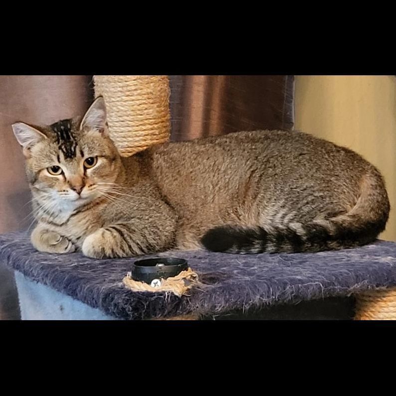 Rapunzel & Goldilocks