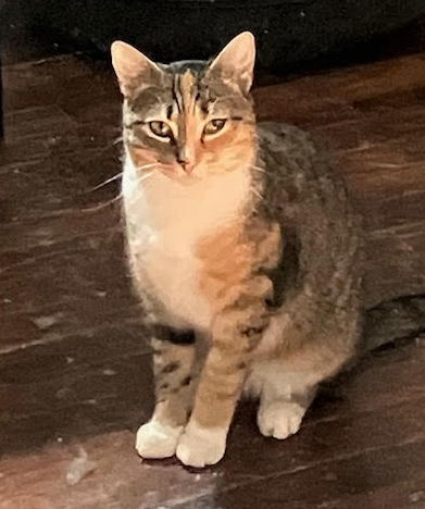 Tabatha (FCID# 05/05/2025 - 19) C