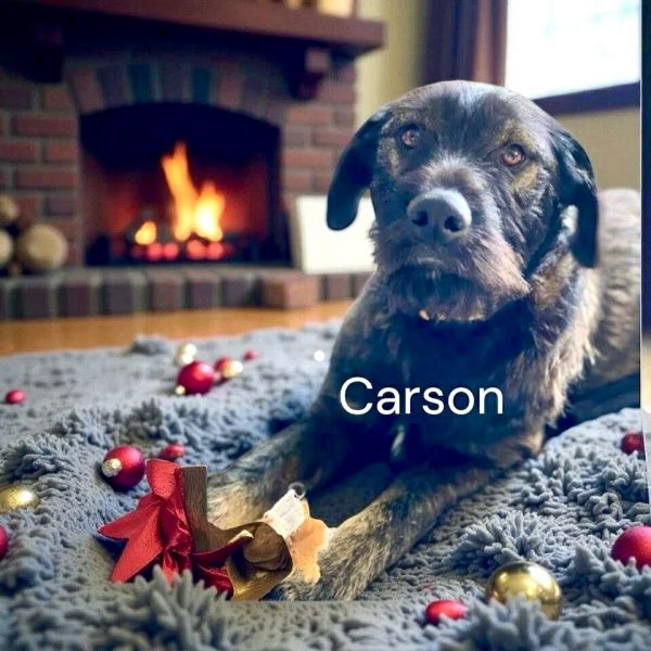 Carson