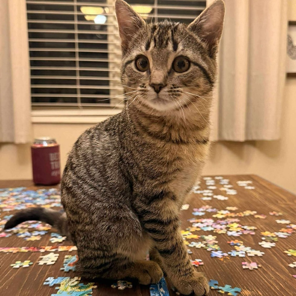 Nubbs // Nubbley Benson