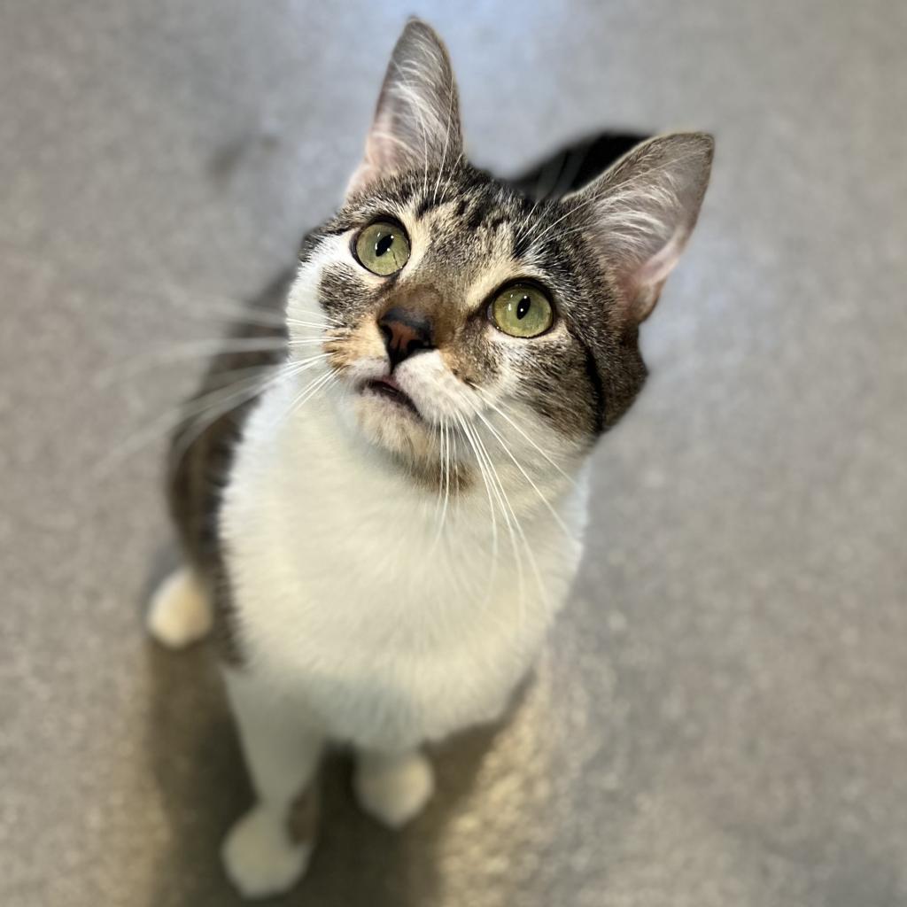 Charlotte FKA Charlottesville