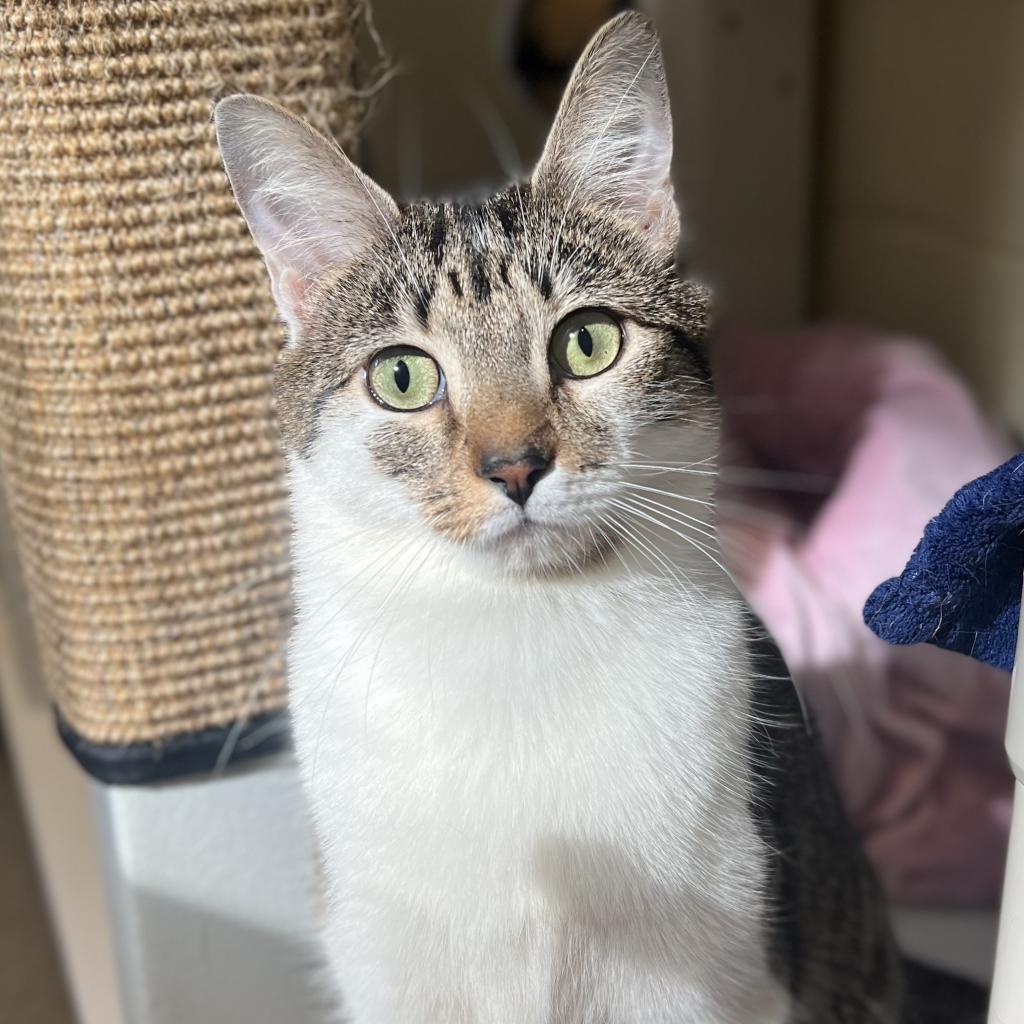 Charlotte FKA Charlottesville