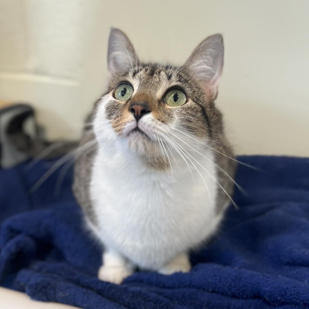 Charlotte FKA Charlottesville