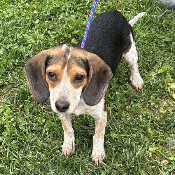 Sulley  Monsters Inc