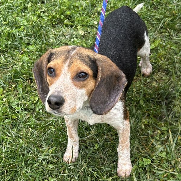 Sulley  Monsters Inc thumbnail 2