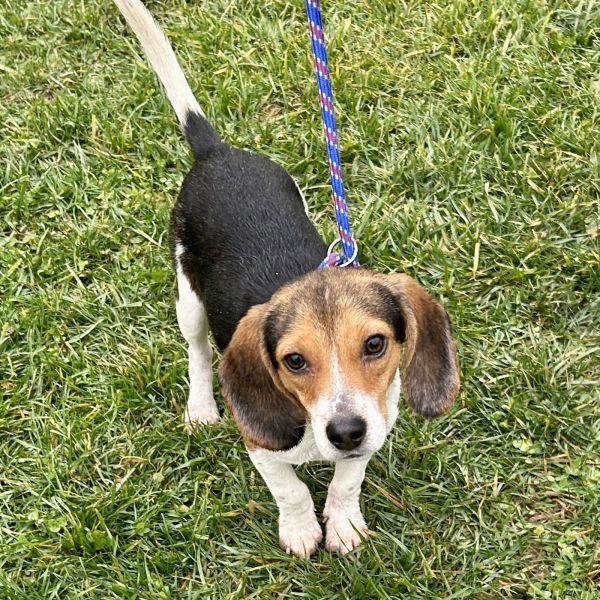 Mike  Monsters Inc thumbnail 2