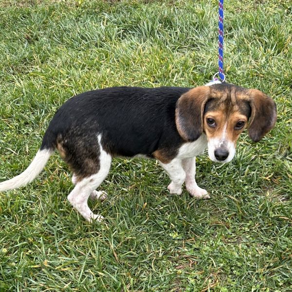 Mike  Monsters Inc thumbnail 3