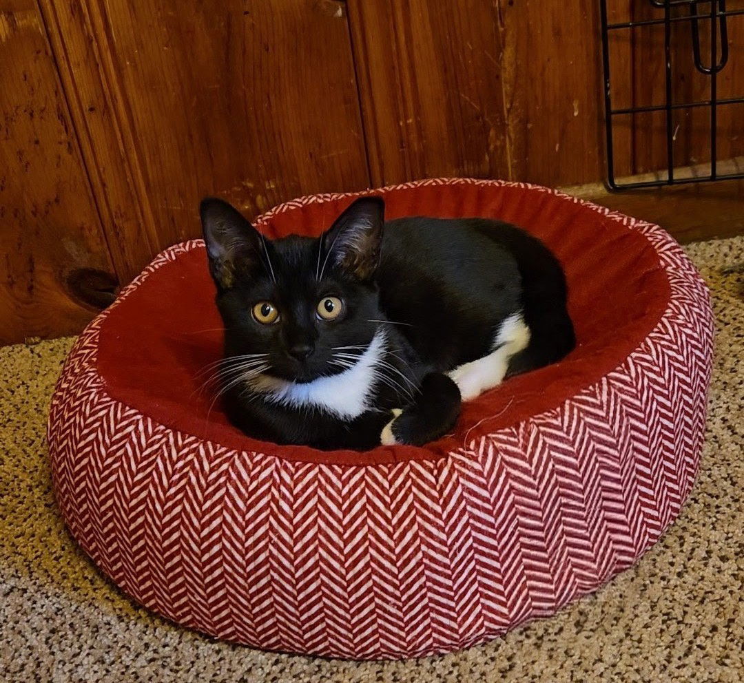 Dally, Willow Grove Area, (FCID 10/28/2025-131)