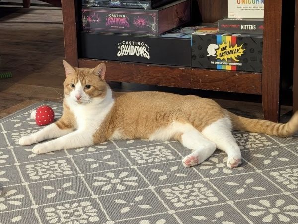 Gus Gus Goose thumbnail 2