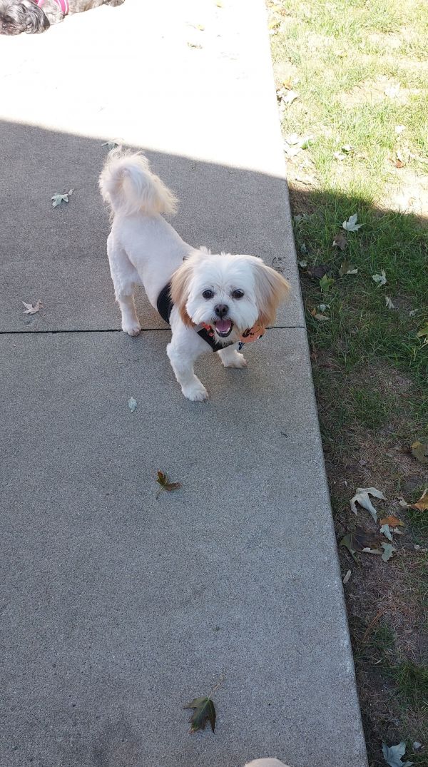 Fionaarr thumbnail 2