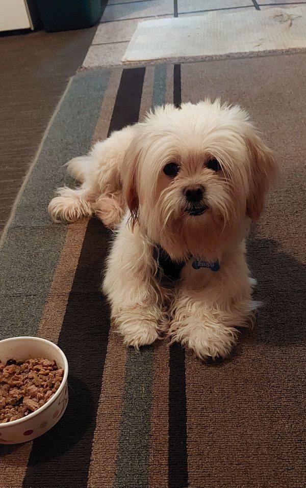 Fionaarr thumbnail 3